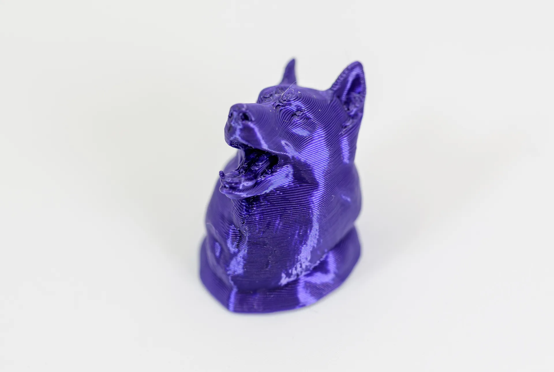 Silk Purpura