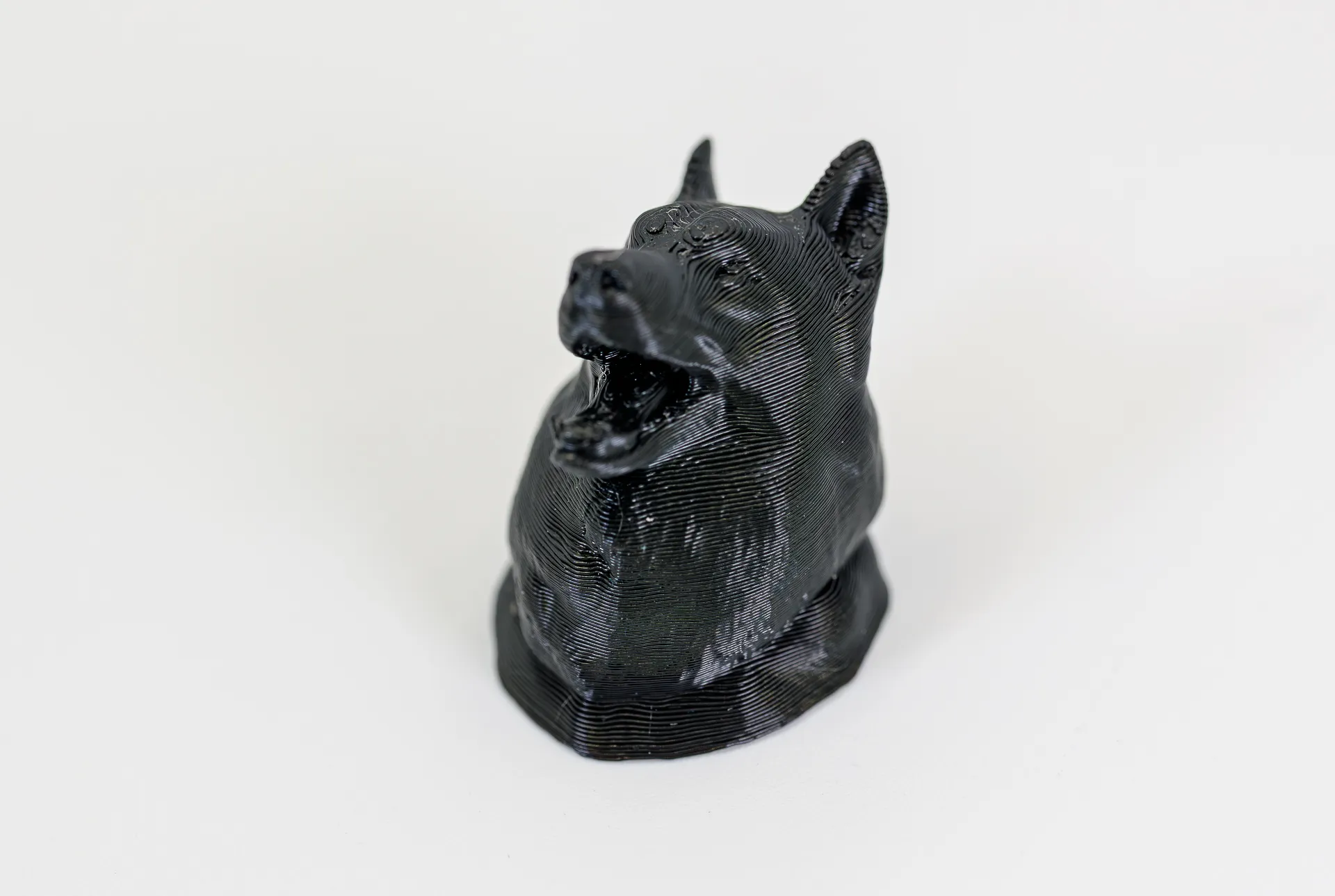PETG Negro